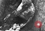 Image of concentration camps Germany, 1945, second 48 stock footage video 65675054790