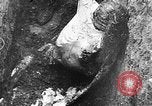 Image of concentration camps Germany, 1945, second 49 stock footage video 65675054790