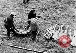 Image of concentration camps Germany, 1945, second 54 stock footage video 65675054790