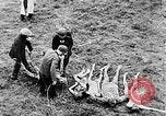Image of concentration camps Germany, 1945, second 55 stock footage video 65675054790