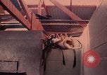 Image of squirrel monkeys United States USA, 1968, second 18 stock footage video 65675054802