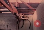 Image of squirrel monkeys United States USA, 1968, second 19 stock footage video 65675054802