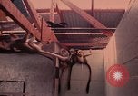 Image of squirrel monkeys United States USA, 1968, second 20 stock footage video 65675054802