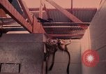 Image of squirrel monkeys United States USA, 1968, second 21 stock footage video 65675054802