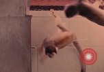 Image of squirrel monkeys United States USA, 1968, second 29 stock footage video 65675054802