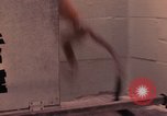 Image of squirrel monkeys United States USA, 1968, second 41 stock footage video 65675054802