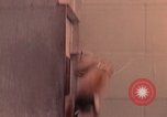 Image of squirrel monkeys United States USA, 1968, second 49 stock footage video 65675054802