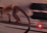 Image of squirrel monkeys United States USA, 1968, second 50 stock footage video 65675054802