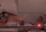 Image of squirrel monkeys United States USA, 1968, second 59 stock footage video 65675054802