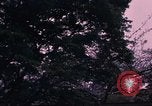 Image of Japanese Tea Garden San Francisco California USA, 1968, second 1 stock footage video 65675054810