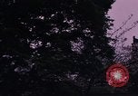 Image of Japanese Tea Garden San Francisco California USA, 1968, second 4 stock footage video 65675054810