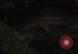Image of Japanese Tea Garden San Francisco California USA, 1968, second 28 stock footage video 65675054810