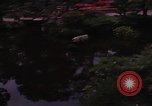Image of Japanese Tea Garden San Francisco California USA, 1968, second 40 stock footage video 65675054810