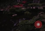 Image of Japanese Tea Garden San Francisco California USA, 1968, second 41 stock footage video 65675054810