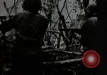 Image of Conflict in 20th Century United States USA, 1969, second 24 stock footage video 65675054811
