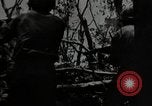 Image of Conflict in 20th Century United States USA, 1969, second 25 stock footage video 65675054811