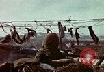 Image of Conflict in 20th Century United States USA, 1969, second 52 stock footage video 65675054811