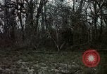 Image of Vietnam War Vietnam, 1965, second 39 stock footage video 65675054812