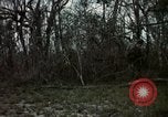 Image of Vietnam War Vietnam, 1965, second 41 stock footage video 65675054812
