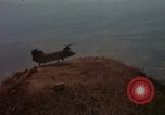 Image of Vietnam War Vietnam, 1965, second 51 stock footage video 65675054812
