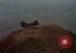 Image of Vietnam War Vietnam, 1965, second 52 stock footage video 65675054812
