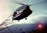 Image of US Army operations Vietnam, 1965, second 8 stock footage video 65675054815