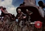 Image of US Army operations Vietnam, 1965, second 20 stock footage video 65675054815