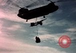 Image of US Army operations Vietnam, 1965, second 36 stock footage video 65675054816
