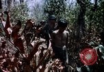Immagine di Civili di difesa irregolare gruppo Vietnam del Sud, 1965, secondo 31 filmato di repertorio 65675054819