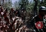 Immagine di Civili di difesa irregolare gruppo Vietnam del Sud, 1965, secondo 34 filmato di repertorio 65675054819