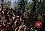 Immagine di Civili di difesa irregolare gruppo Vietnam del Sud, 1965, secondo 35 filmato di repertorio 65675054819