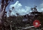 Immagine di Repubblica del Vietnam Programma di sviluppo Il Vietnam, 1965, secondo 31 filmato di repertorio 65675054821