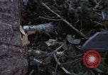 Immagine di Repubblica del Vietnam Programma di sviluppo Il Vietnam, 1965, secondo 34 filmato di repertorio 65675054821