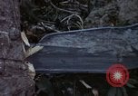 Immagine di Repubblica del Vietnam Programma di sviluppo Il Vietnam, 1965, secondo 35 filmato di repertorio 65675054821