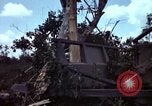 Immagine di Repubblica del Vietnam Programma di sviluppo Il Vietnam, 1965, secondo 39 filmato di repertorio 65675054821