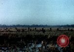 Standbild Pflege für amerikanische Soldaten Vietnam, 1967, aus Sekunde 4 historischem Filmmaterial Videoclip 65675054824