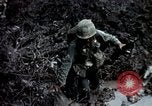 Standbild Pflege für amerikanische Soldaten Vietnam, 1967, aus Sekunde 7 historischem Filmmaterial Videoclip 65675054824