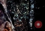 Standbild Pflege für amerikanische Soldaten Vietnam, 1967, aus Sekunde 14 historischem Filmmaterial Videoclip 65675054824