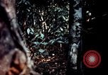 Standbild Pflege für amerikanische Soldaten Vietnam, 1967, aus Sekunde 15 historischem Filmmaterial Videoclip 65675054824