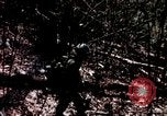 Standbild Pflege für amerikanische Soldaten Vietnam, 1967, aus Sekunde 28 historischem Filmmaterial Videoclip 65675054824