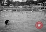 Standbild Tokio Vergnügungspark Tokio Japan, 1965, aus Sekunde 37 historischem Filmmaterial Videoclip 65675054827