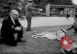 Standbild Whipsnade Zoo Whipsnade England, 1965, aus Sekunde 10 historischem Filmmaterial Videoclip 65675054828