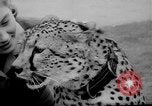 Standbild Whipsnade Zoo Whipsnade England, 1965, aus Sekunde 11 historischem Filmmaterial Videoclip 65675054828