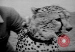 Standbild Whipsnade Zoo Whipsnade England, 1965, aus Sekunde 12 historischem Filmmaterial Videoclip 65675054828