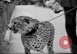 Standbild Whipsnade Zoo Whipsnade England, 1965, aus Sekunde 20 historischem Filmmaterial Videoclip 65675054828