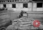 Standbild Whipsnade Zoo Whipsnade England, 1965, aus Sekunde 26 historischem Filmmaterial Videoclip 65675054828
