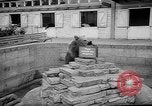 Standbild Whipsnade Zoo Whipsnade England, 1965, aus Sekunde 27 historischem Filmmaterial Videoclip 65675054828