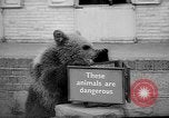 Standbild Whipsnade Zoo Whipsnade England, 1965, aus Sekunde 28 historischem Filmmaterial Videoclip 65675054828
