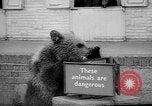 Standbild Whipsnade Zoo Whipsnade England, 1965, aus Sekunde 29 historischem Filmmaterial Videoclip 65675054828