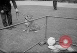 Standbild Whipsnade Zoo Whipsnade England, 1965, aus Sekunde 30 historischem Filmmaterial Videoclip 65675054828